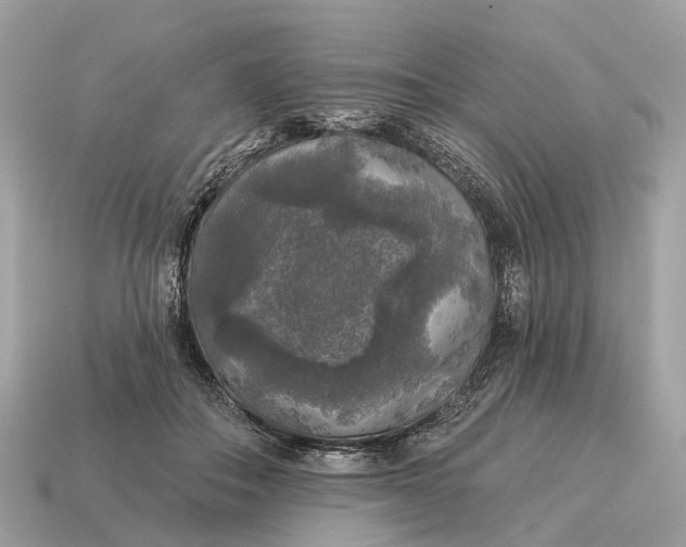 X0000115130506200911101650