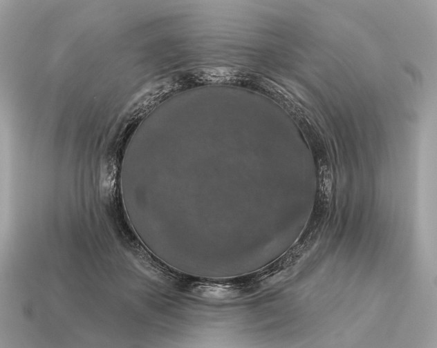 X0000115130507200911101650