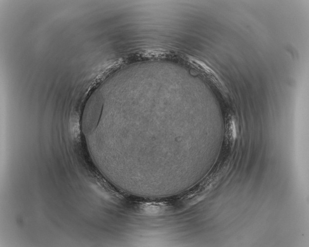 X0000115130508200911101650
