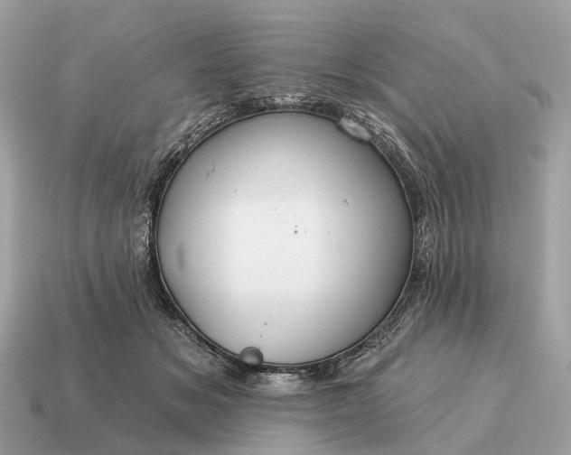 X0000115130509200911101650