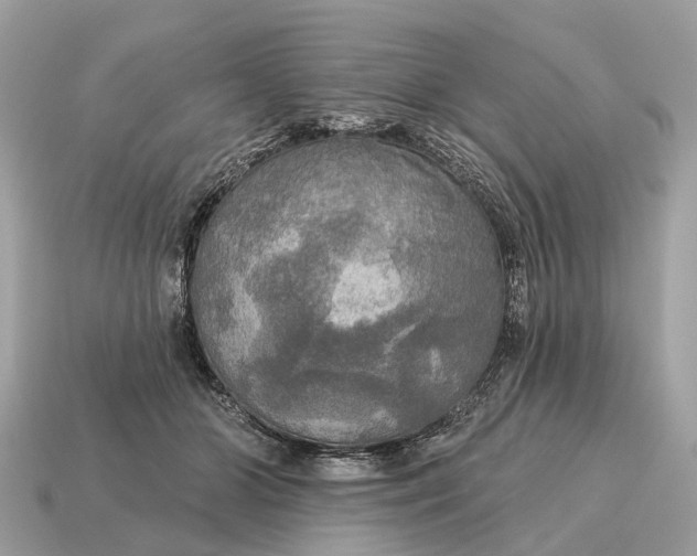 X0000115130510200911101650