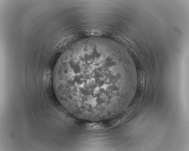 X0000115130511200911101650