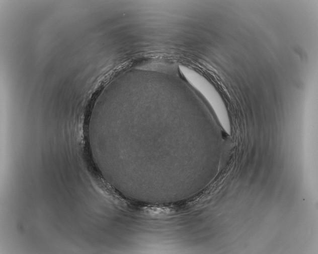X0000115130512200911101650