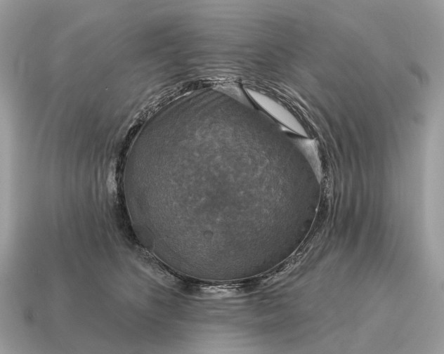 X0000115130516200911101649