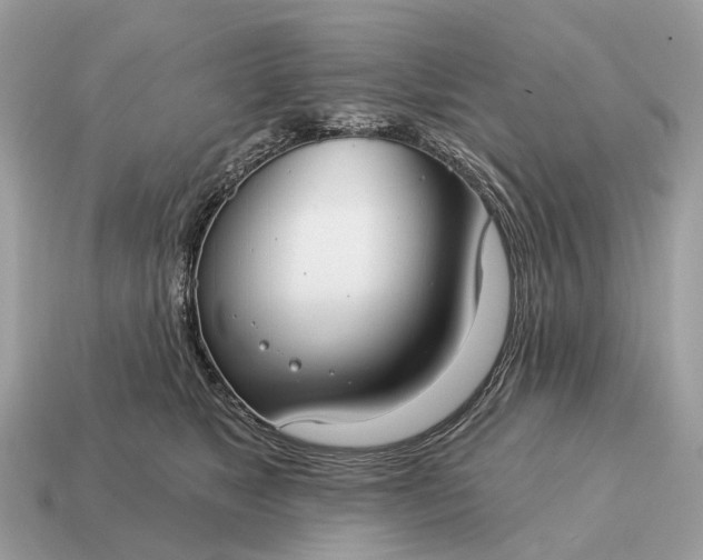 X0000115130517200911101649