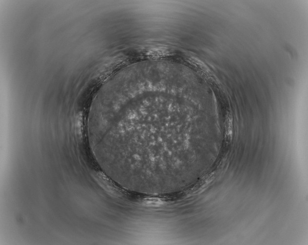X0000115130519200911101649