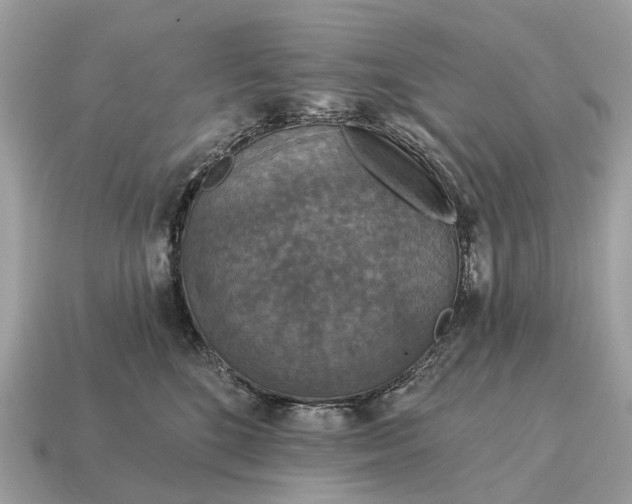X0000115130520200911101649