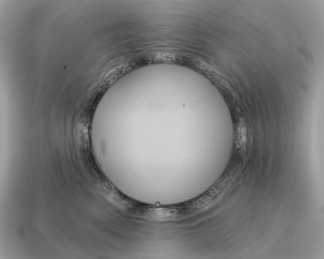 X0000115130522200911101649