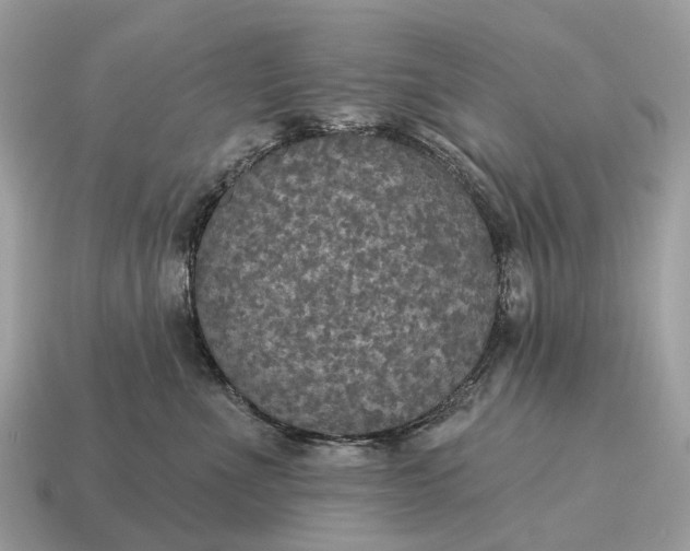 X0000115130523200911101649