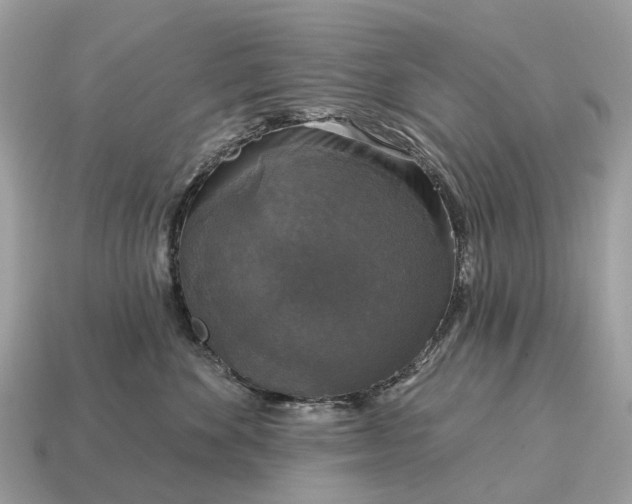 X0000115130524200911101649