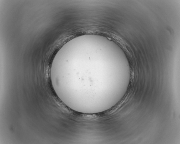 X0000115130525200911101649