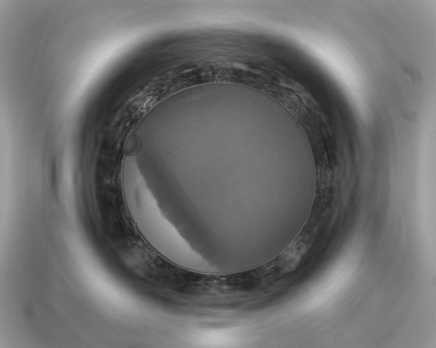 X0000115130526200911101649