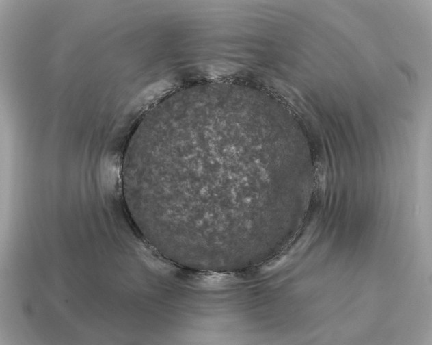 X0000115130527200911101649