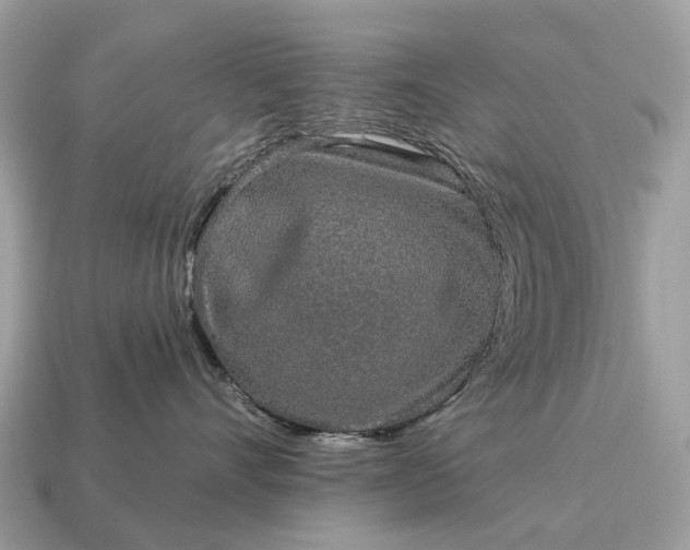 X0000115130528200911101649