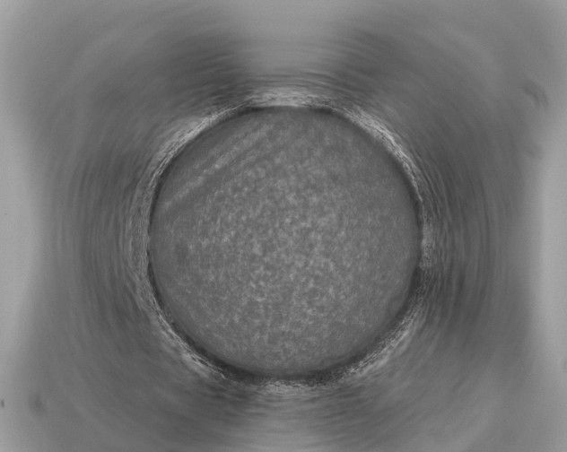 X0000115130529200911101649