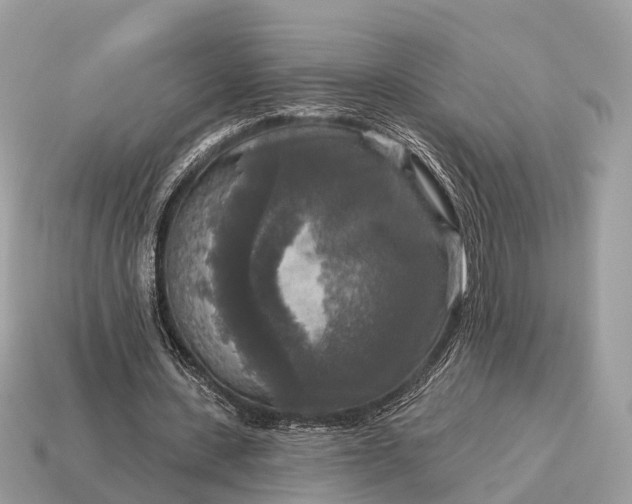 X0000115130531200911101649