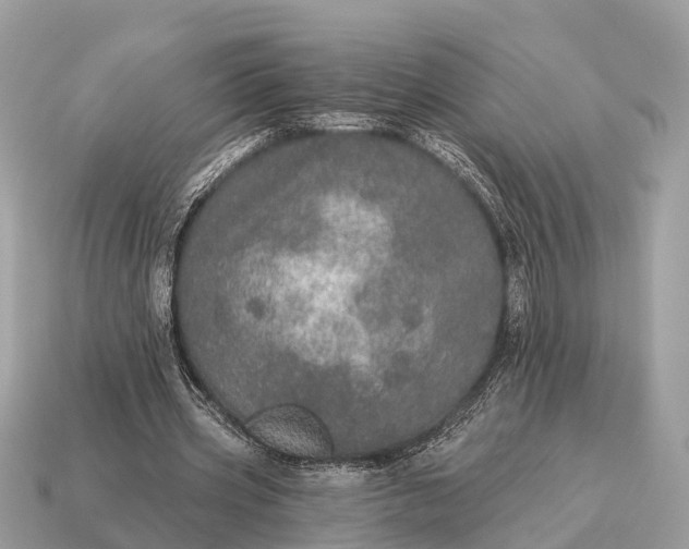 X0000115130533200911101649