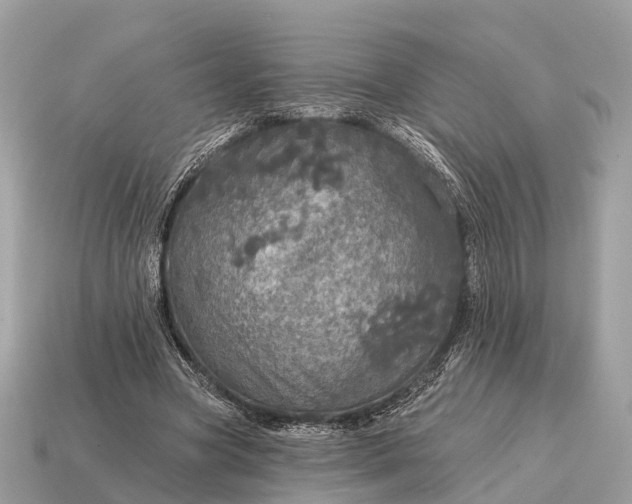 X0000115130537200911101649