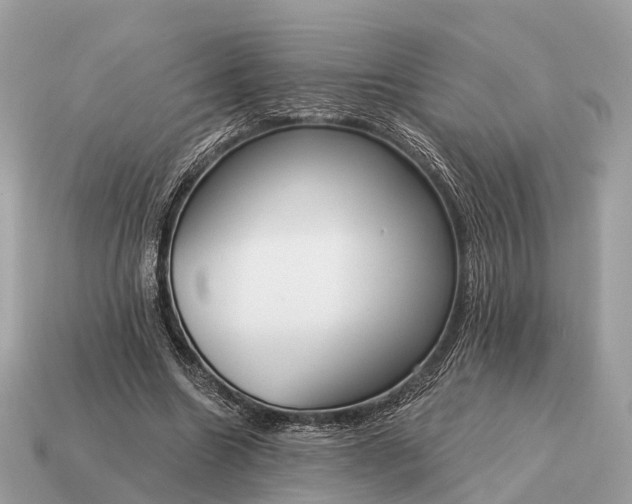 X0000115130538200911101649