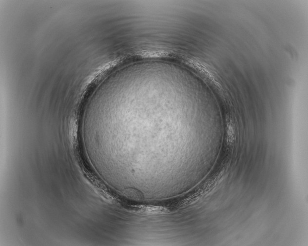 X0000115130539200911101649