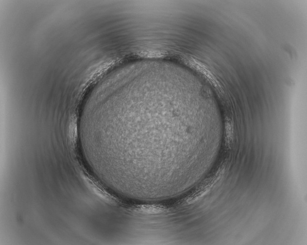 X0000115130541200911101649