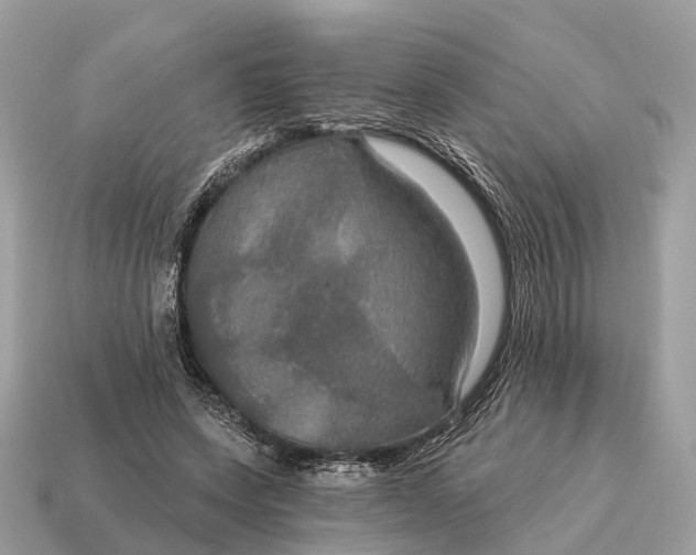 X0000115130543200911101649