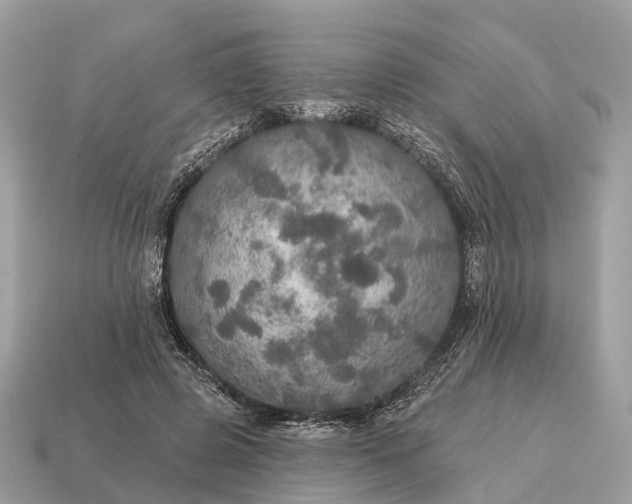 X0000115130545200911101649