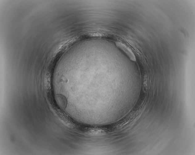 X0000115130547200911101649