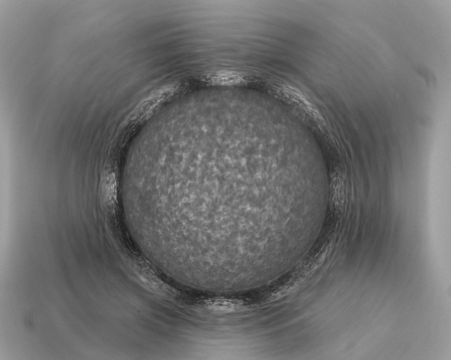 X0000115130549200911101649