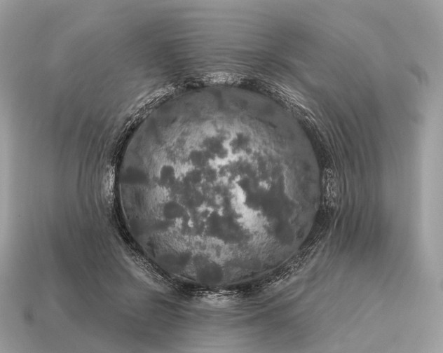 X0000115130550200911101649