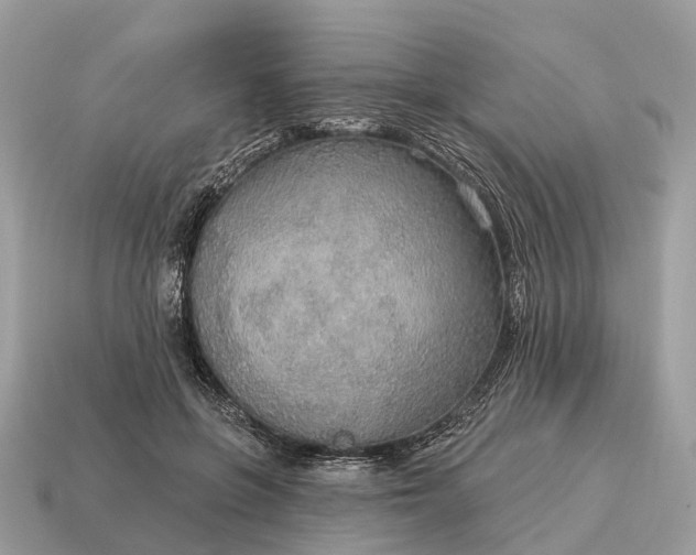 X0000115130551200911101649