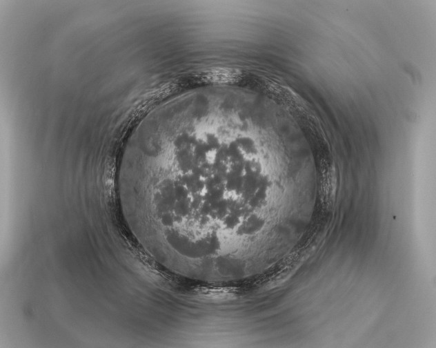 X0000115130553200911101649