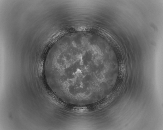 X0000115130554200911101649
