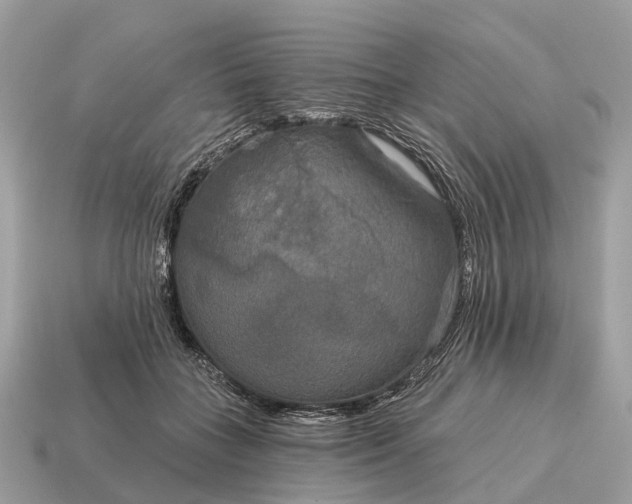 X0000115130555200911101649