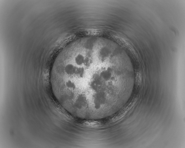 X0000115130557200911101649