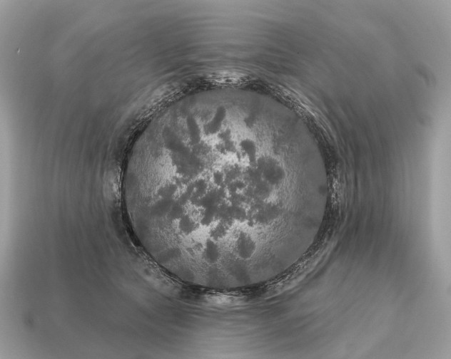 X0000115130561200911101649