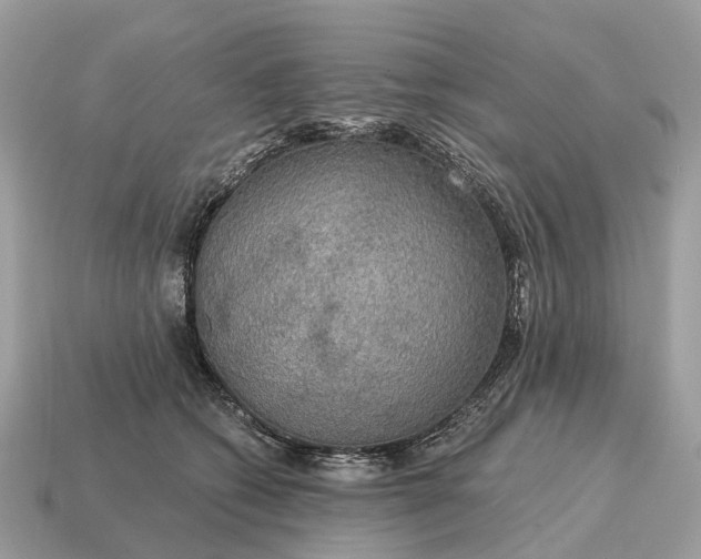 X0000115130562200911101649