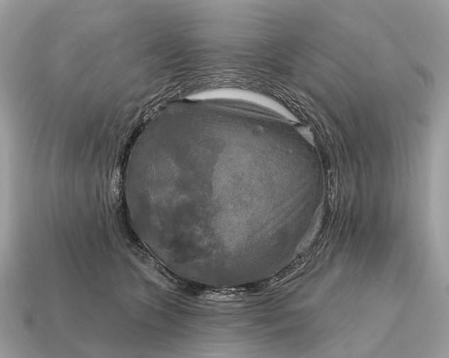 X0000115130563200911101649