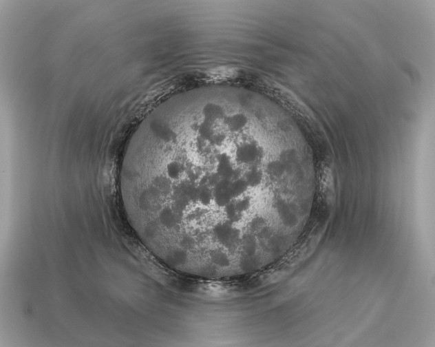 X0000115130565200911101649