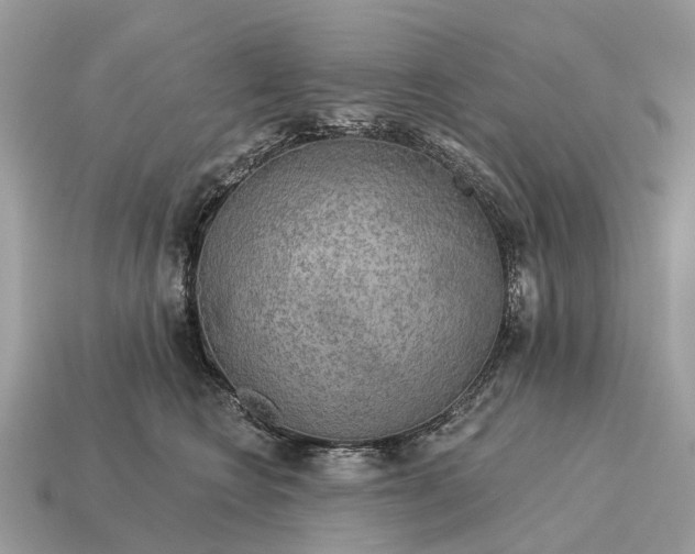 X0000115130566200911101649