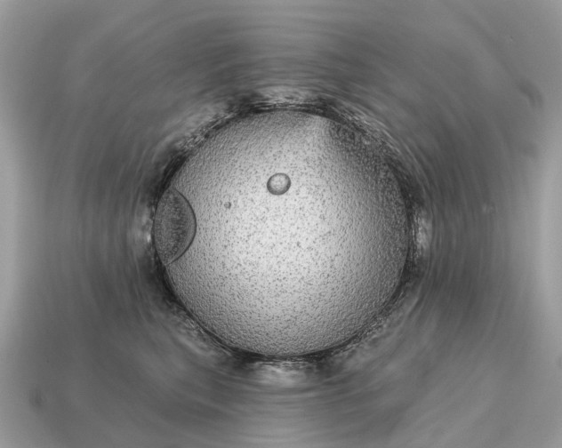X0000115130567200911101649