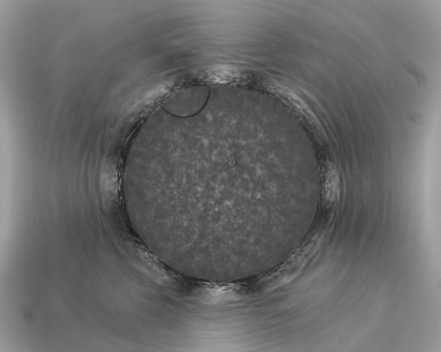 X0000115130569200911101649