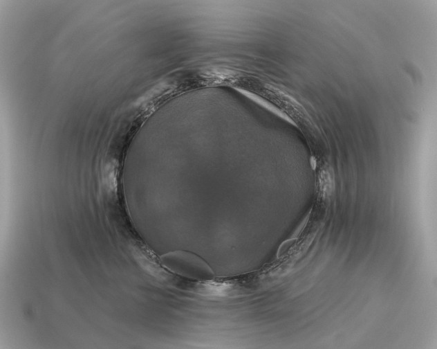 X0000115130570200911101649