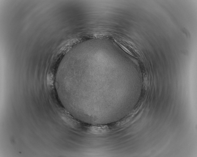 X0000115130571200911101649
