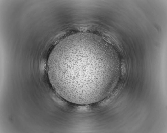 X0000115130574200911101649