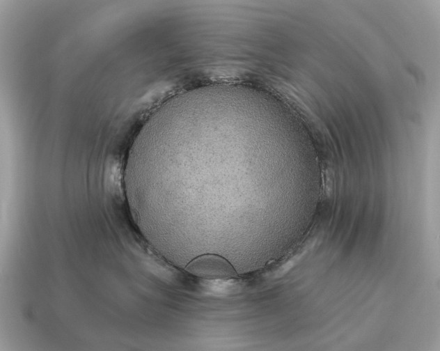 X0000115130575200911101649