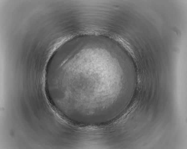 X0000115130578200911101649