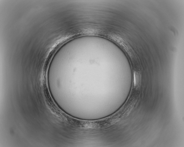 X0000115130579200911101649