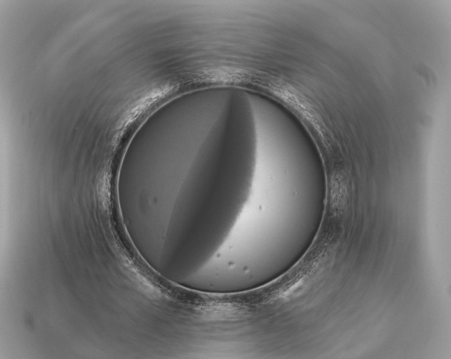 X0000115130581200911101649