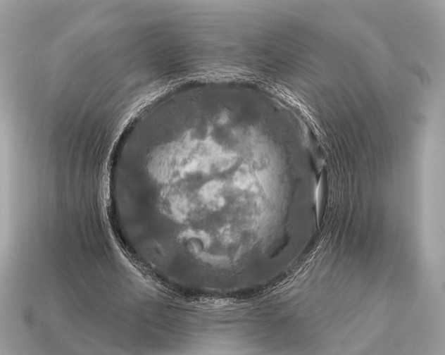 X0000115130582200911101649